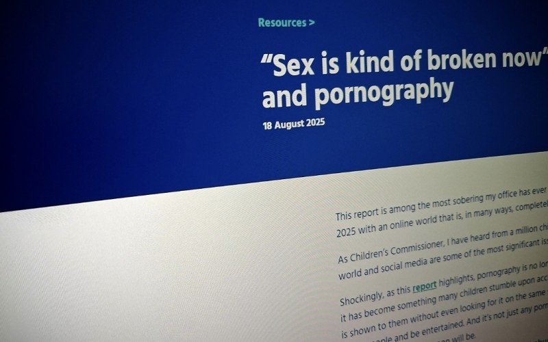 “Sex is kind of broken now”: children and pornography