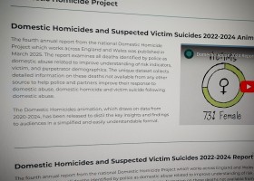 Domestic Homicides and Suspected Victim Suicides 2022-2024