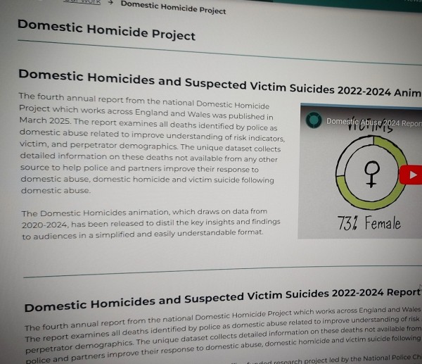 Domestic Homicides and Suspected Victim Suicides 2022-2024