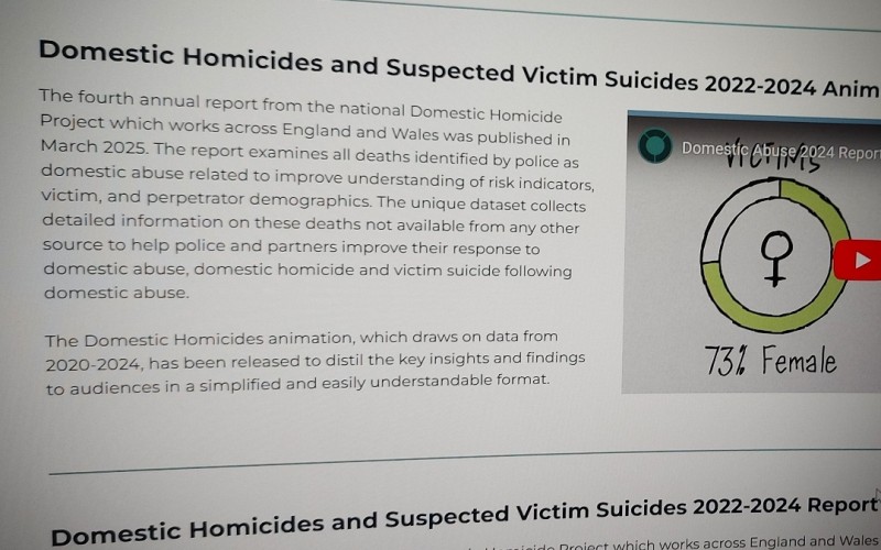 Domestic Homicides and Suspected Victim Suicides 2022-2024