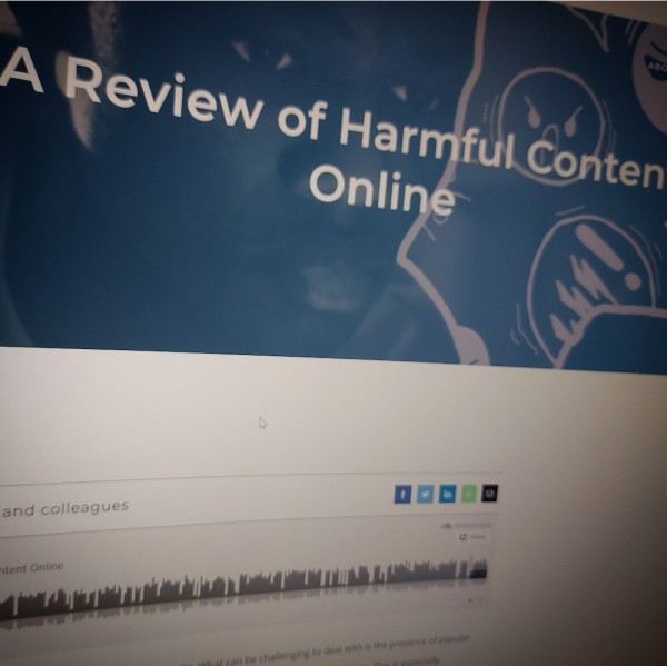 A Review of Harmful Content Online